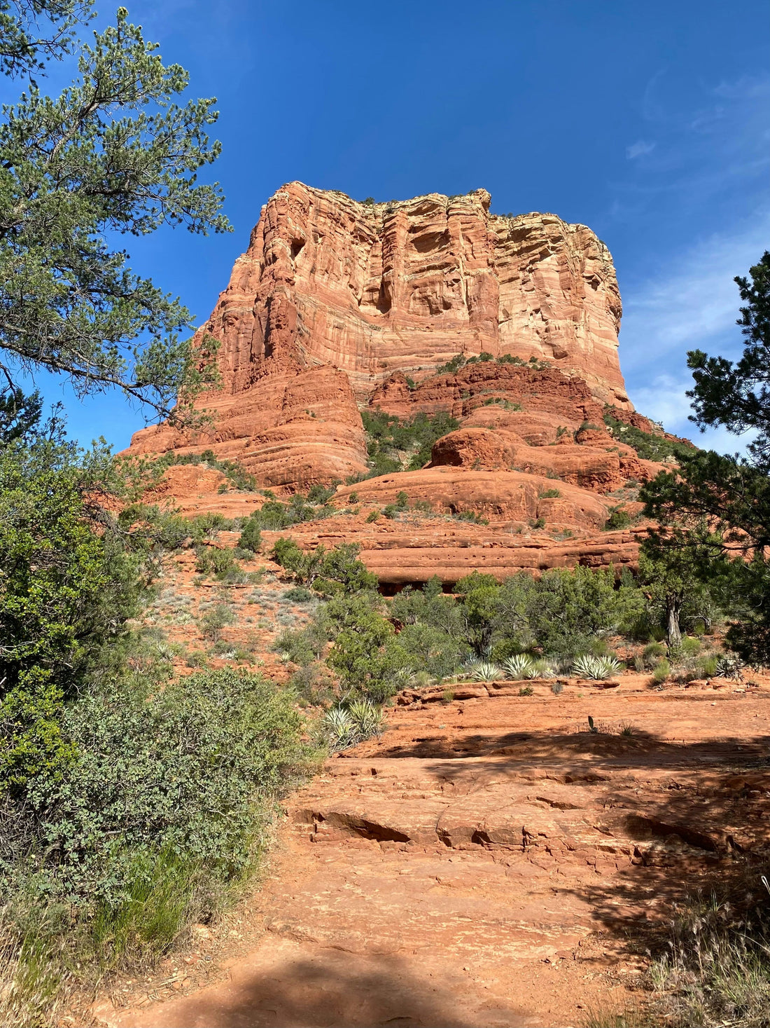 Bell Trail Arizona: A Family Guide to Hiking Wet Beaver Creek & The Crack