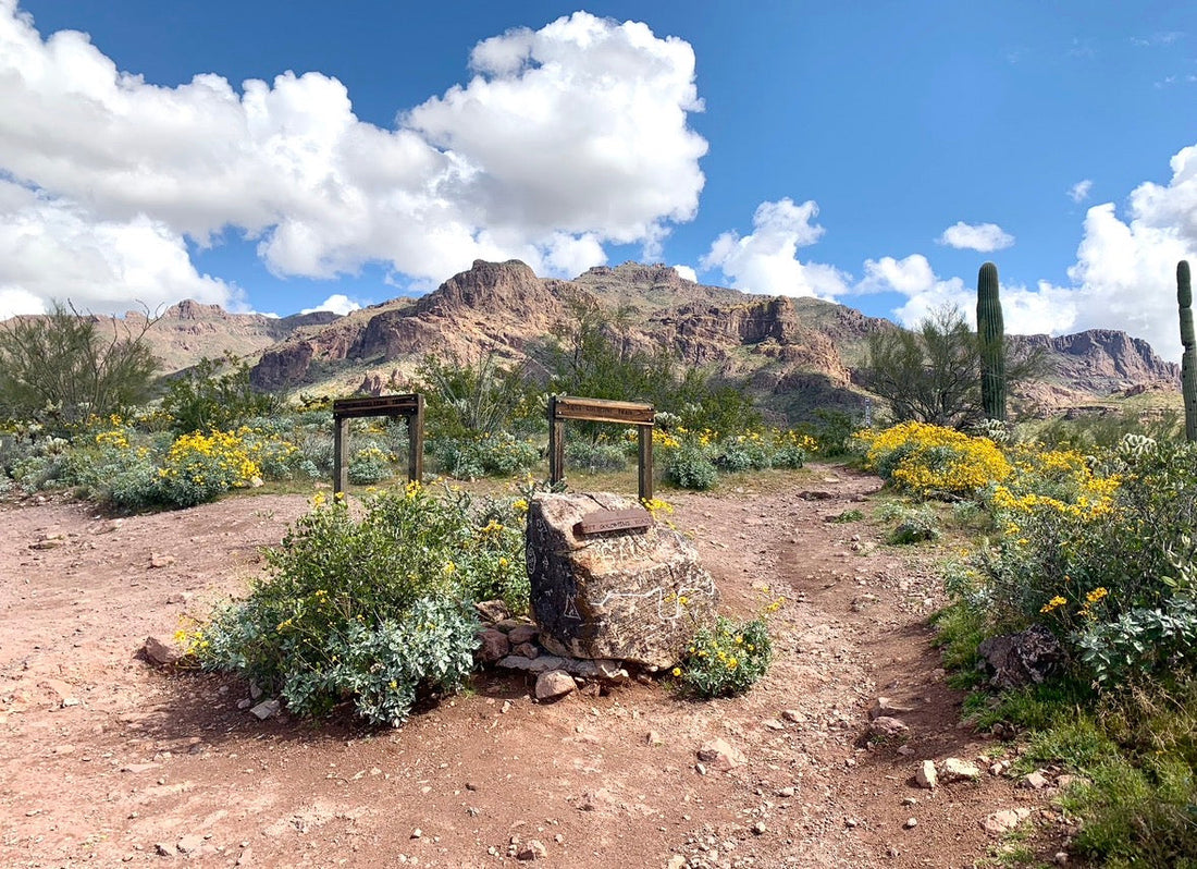 Hieroglyphic Trail Arizona: A Complete Hiker's Guide to Petroglyphs, Desert Pools & Sonoran Scenery