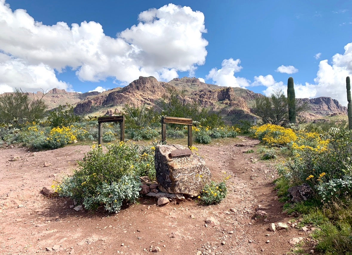 Hieroglyphic Trail Arizona: A Complete Hiker's Guide to Petroglyphs, Desert Pools & Sonoran Scenery