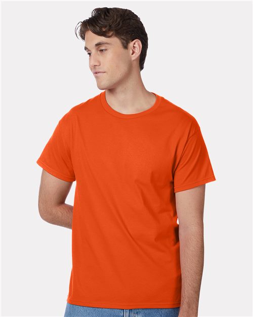 Hanes 5250 — Unisex Authentic T-Shirt — main view