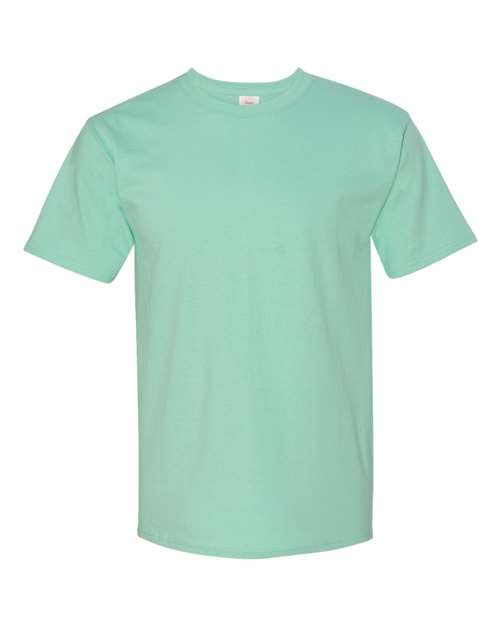 Hanes 5250 — Unisex Authentic T-Shirt — Clean Mint